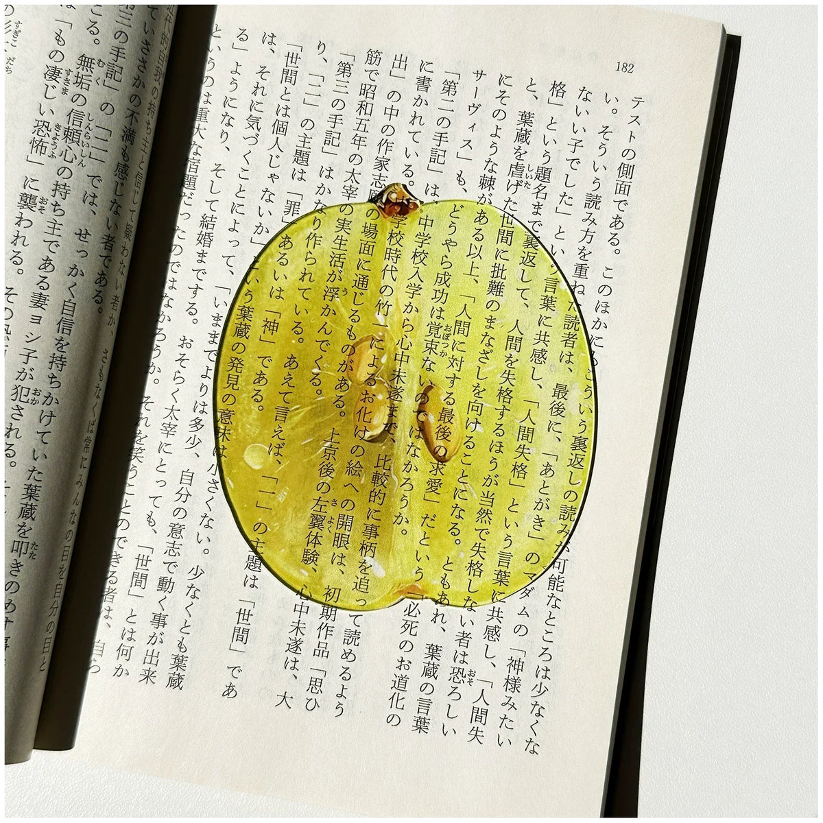 Transparent Acrylic Fruit Bookmark – Cute Aesthetic Reading Mark Gift