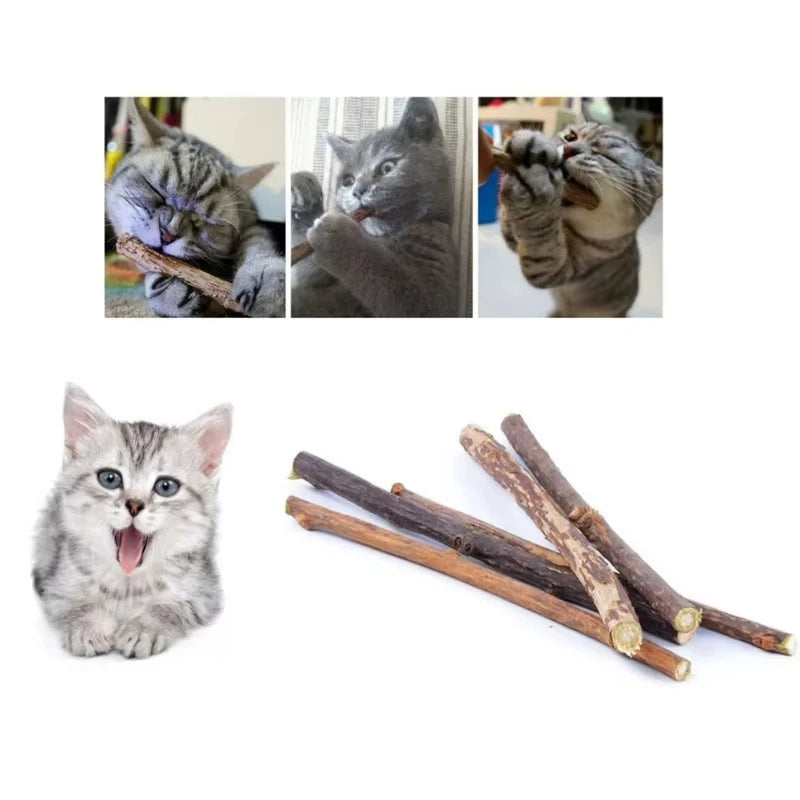 Catnip Chew Sticks for Cats – 20pcs Natural Woodruff Teeth Cleaning Toy