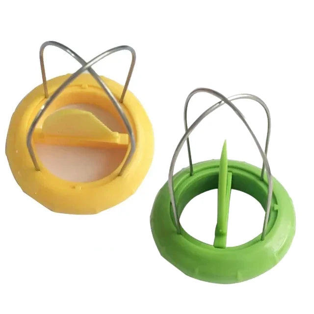 Kiwi Peeler & Fruit Slicer – Fast Peel Kitchen Gadget