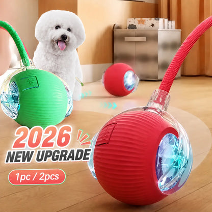 Interactive Dog Ball Toy – Automatic Rolling & Sound, USB Rechargeable