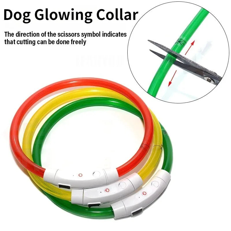 Fiber Optic Dog Collar – USB Rechargeable, Glowing Night Safety
