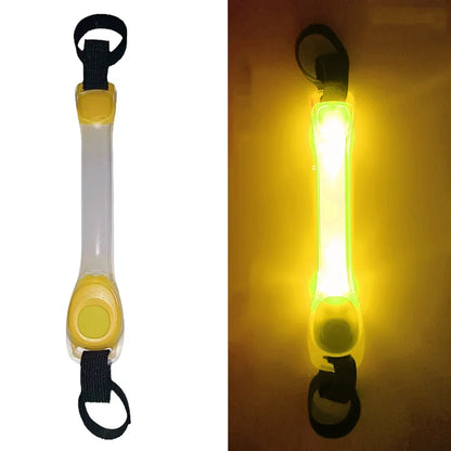 LED Dog Collar Light Pendant – Waterproof Flashing Safety Tag