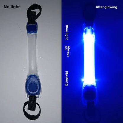 LED Dog Collar Light Pendant – Waterproof Flashing Safety Tag