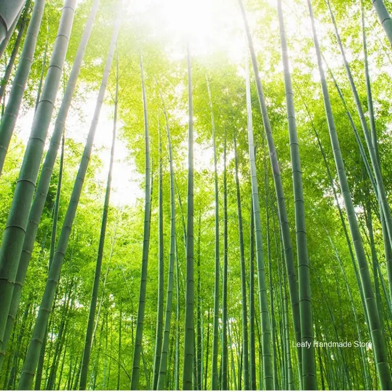 Bamboo BBQ Skewers 100pcs – Disposable Wooden Grill Sticks