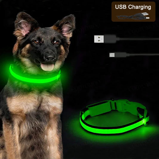 LED Dog Collar – USB Rechargeable, 3 Light Modes, Night Safety Glow