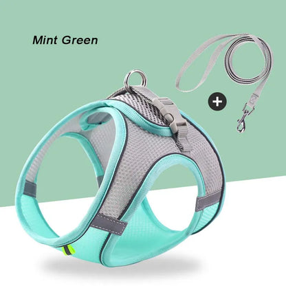 Soft Mesh Pet Harness & Leash Set – Escape-Proof, Reflective, Adjustable