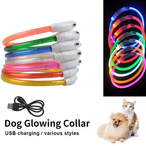 Fiber Optic Dog Collar – USB Rechargeable, Glowing Night Safety