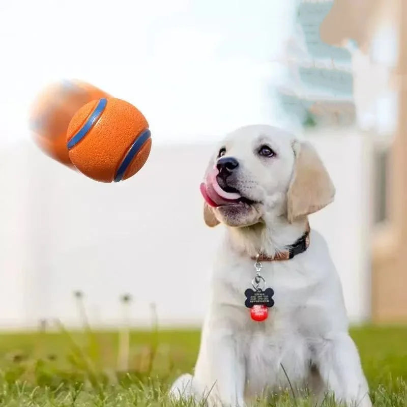 Tough Dog Chew Ball Toy – Elastic Fetch Ball for All Sizes