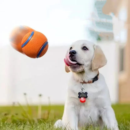Tough Dog Chew Ball Toy – Elastic Fetch Ball for All Sizes