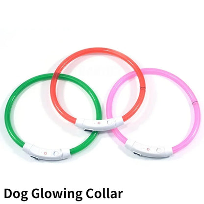Fiber Optic Dog Collar – USB Rechargeable, Glowing Night Safety