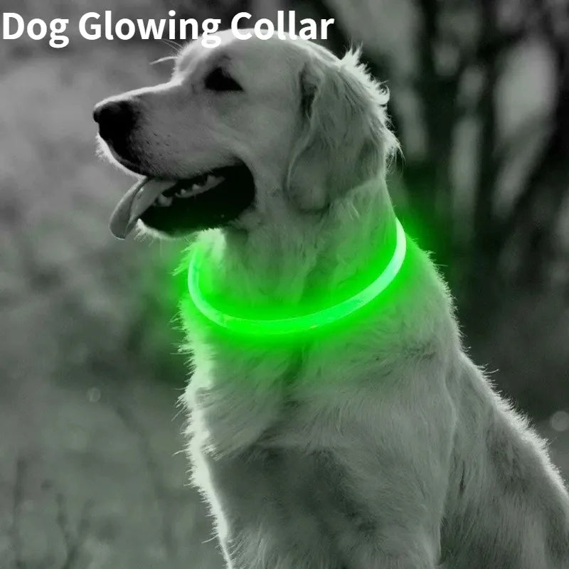 Fiber Optic Dog Collar – USB Rechargeable, Glowing Night Safety