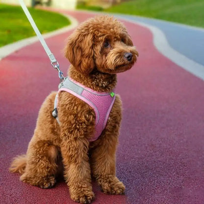 Soft Mesh Pet Harness & Leash Set – Escape-Proof, Reflective, Adjustable