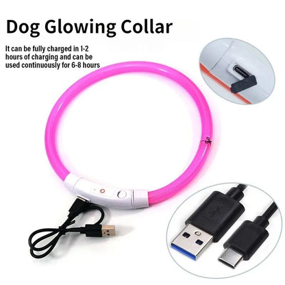 Fiber Optic Dog Collar – USB Rechargeable, Glowing Night Safety
