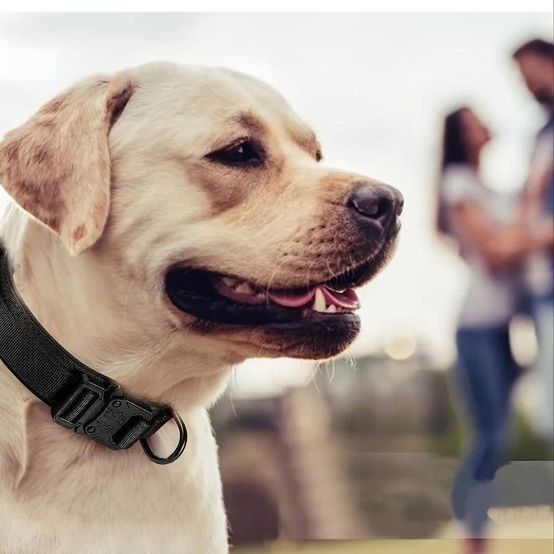 Tactical Dog Collar – Adjustable Military Nylon with Heavy Metal Buckle