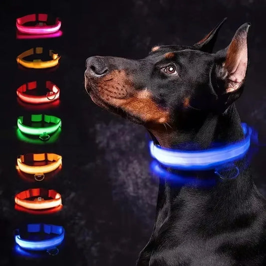 LED Dog Collar – USB Rechargeable Glowing Safety Collar for Night Walks
