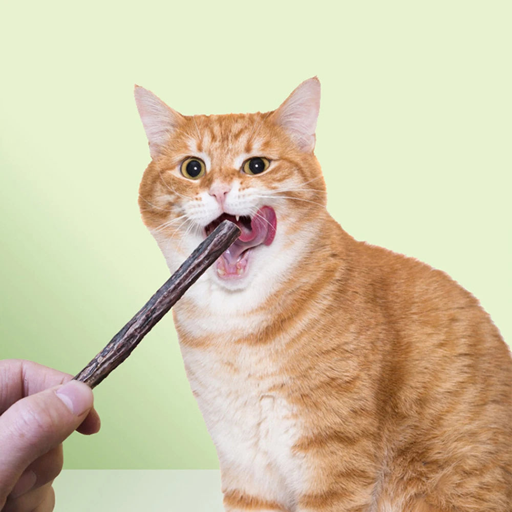 Cat Catnip Molar Sticks – Natural Polygonum Wood Chew Toy