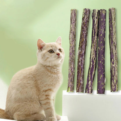 Cat Catnip Molar Sticks – Natural Polygonum Wood Chew Toy