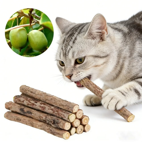 Catnip Chew Sticks for Cats – 20pcs Natural Woodruff Teeth Cleaning Toy