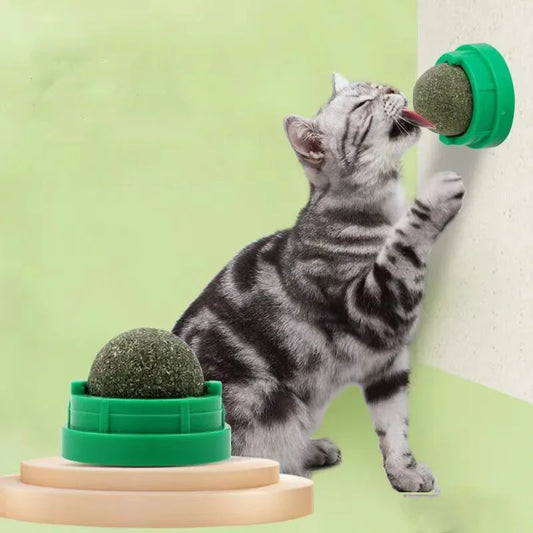Catnip Wall Lick Ball Toy for Cats – Stick-On Treat