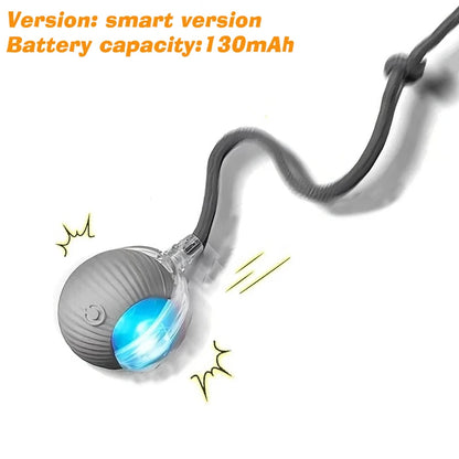 Smart Automatic Rolling Cat Ball Toy – Rechargeable with LED Light & Tail