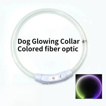 Fiber Optic Dog Collar – USB Rechargeable, Glowing Night Safety