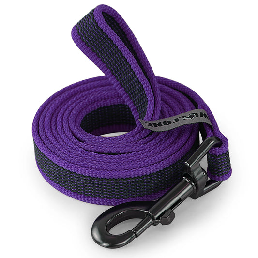 Long Dog Training Leash – Dual-Color Nylon Recall Lead