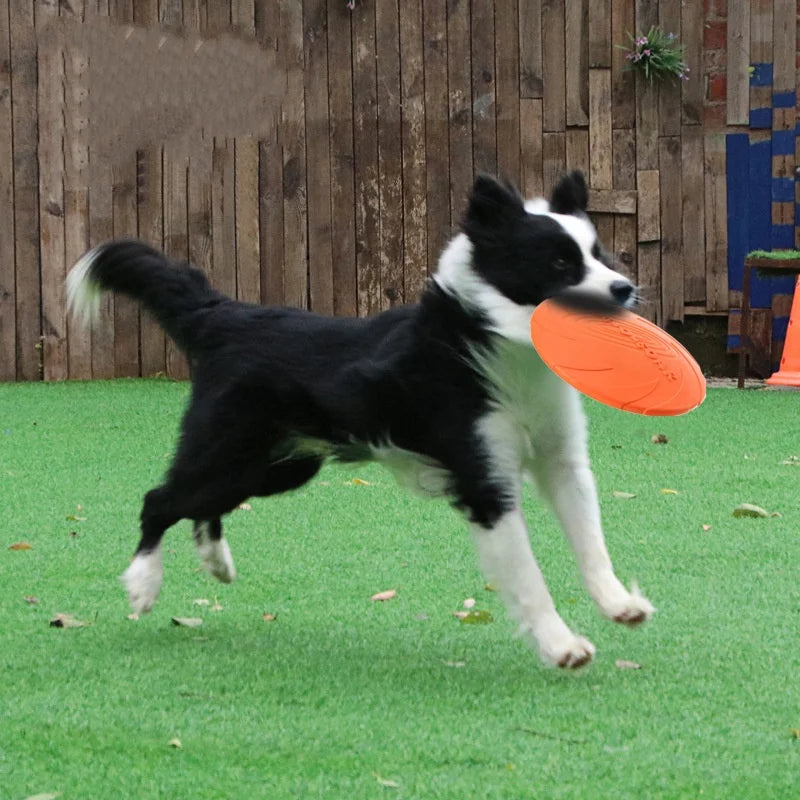 Silicone Dog Frisbee – Chew-Resistant Flying Disc for Pets