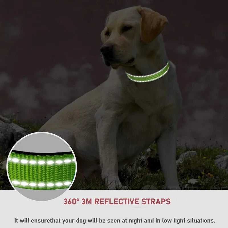 Reflective Dog Collar – Adjustable Nylon with Quick-Release Buckle, XS–XL