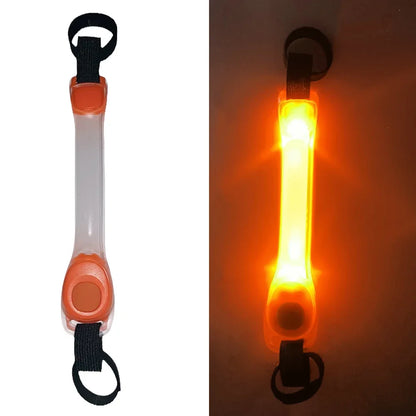 LED Dog Collar Light Pendant – Waterproof Flashing Safety Tag