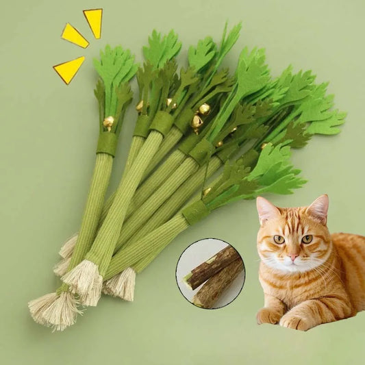 Catnip Molar Stick Cat Chew Toy with Bell – Natural Teeth Cleaner