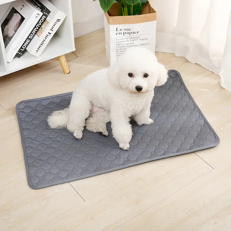 Reusable Dog Pee Pad – Washable Absorbent Pet Training Mat