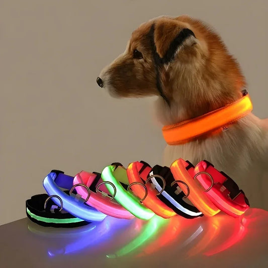LED Dog Collar – Flashing Glow in the Dark Safety Collar