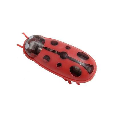 Mini Electric Walking Bug Cat Toy – Interactive Insect