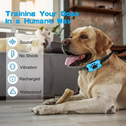 Ultrasonic Anti-Bark Dog Collar – USB Rechargeable Training Device