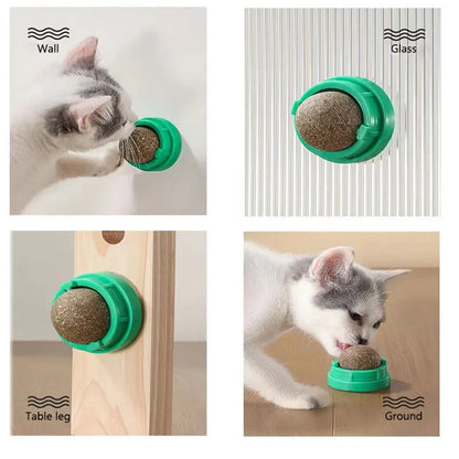 Catnip Wall Lick Ball Toy for Cats – Stick-On Treat