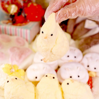 Fluffy Chick Squishy Toy – Soft Stress Relief Fidget