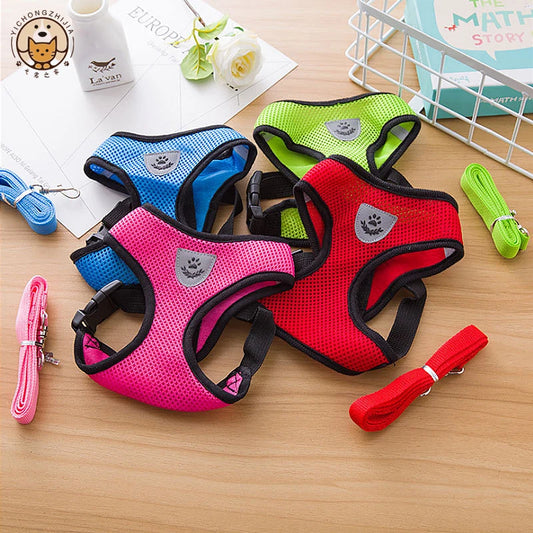 Adjustable Mesh Dog Harness & Leash Set for Small & Medium Pets