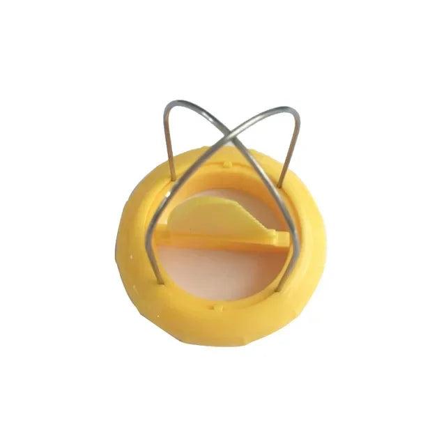 Kiwi Peeler & Fruit Slicer – Fast Peel Kitchen Gadget