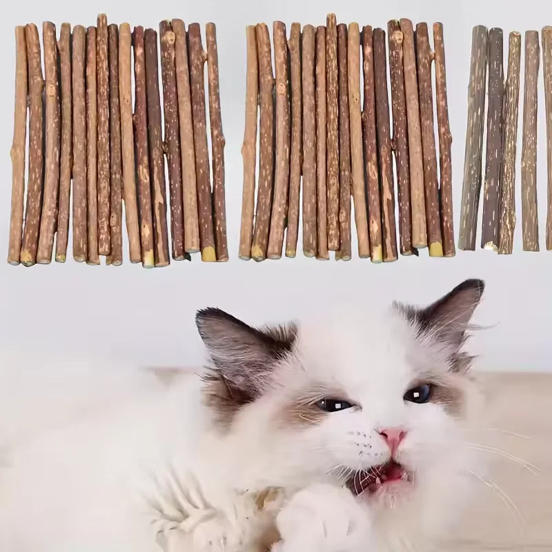 Cat Catnip Molar Sticks – Natural Polygonum Wood Chew Toy