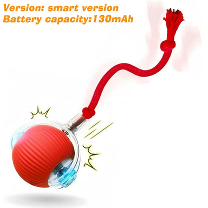 Smart Automatic Rolling Cat Ball Toy – Rechargeable with LED Light & Tail