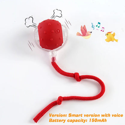 Interactive Dog Ball Toy – Automatic Rolling & Sound, USB Rechargeable