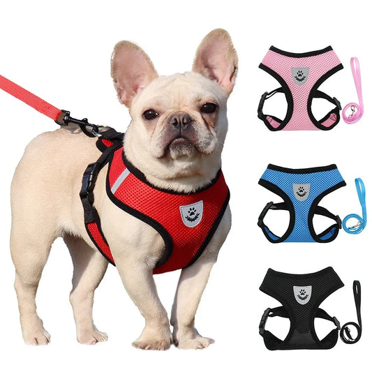 Breathable Mesh Dog & Cat Harness with Leash – Adjustable Reflective Vest