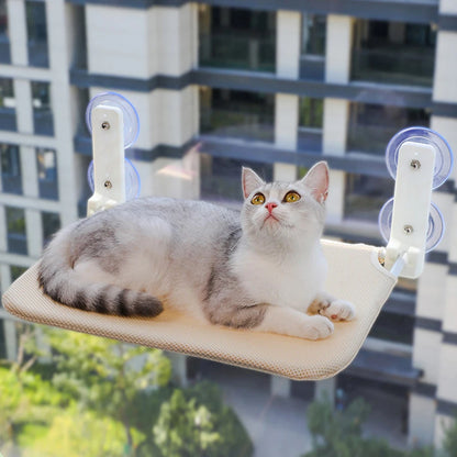 Cat Window Hammock with Suction Cups – Foldable Perch