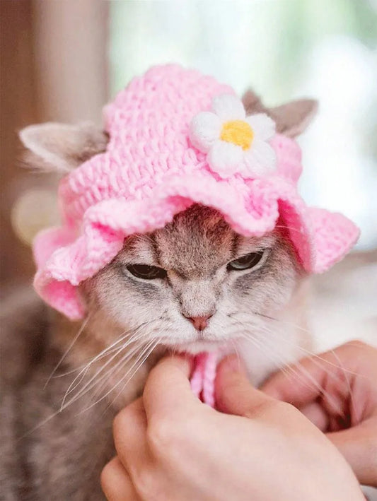 Knitted Pet Hat with Flower for Cats & Small Dogs