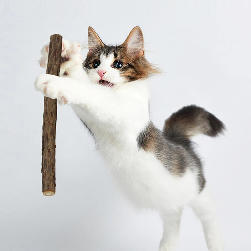 Cat Catnip Molar Sticks – Natural Polygonum Wood Chew Toy