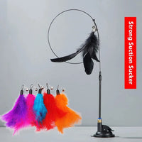 Black 5pcs Feather