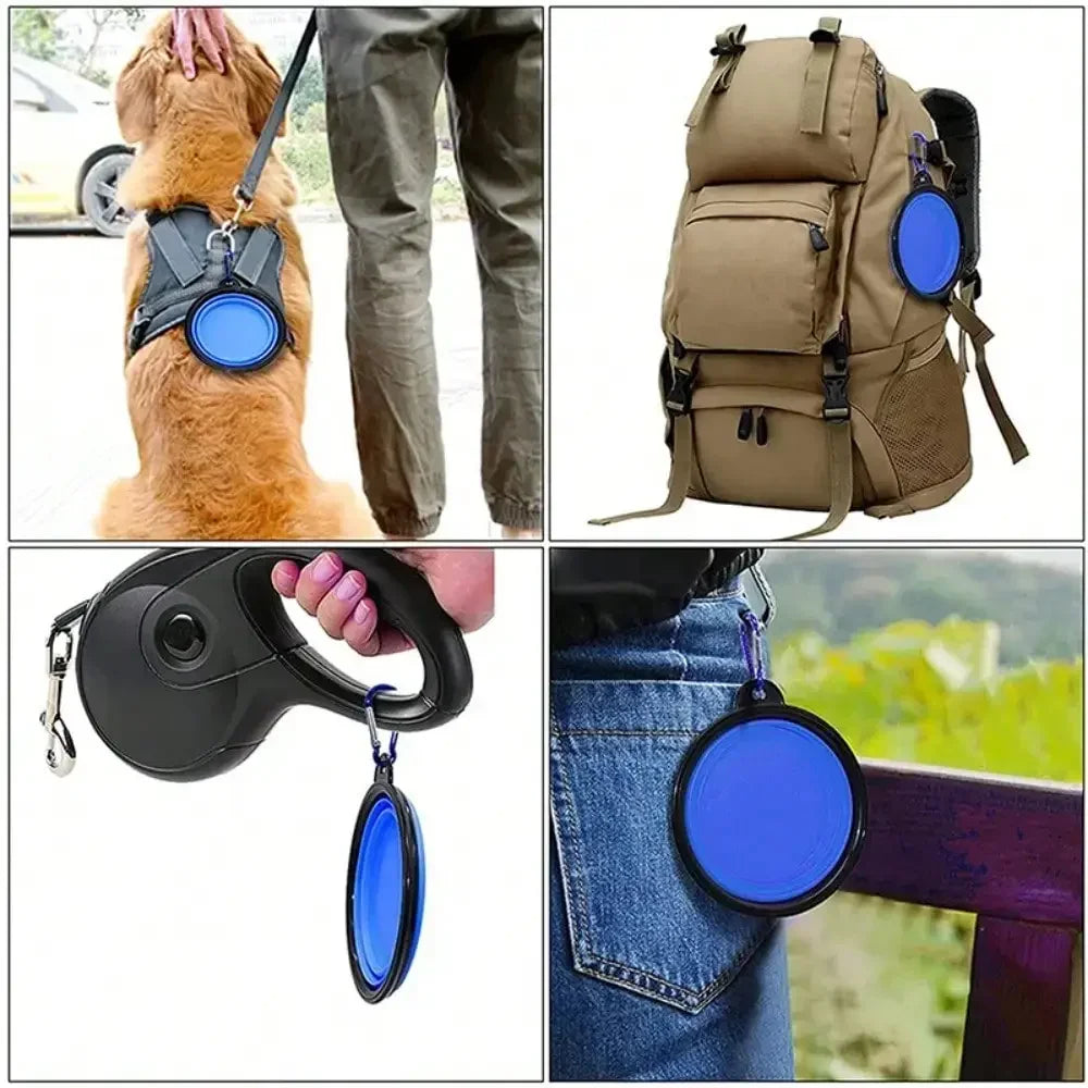 Collapsible Silicone Pet Travel Bowl – Portable Dog & Cat Feeder with Carabiner