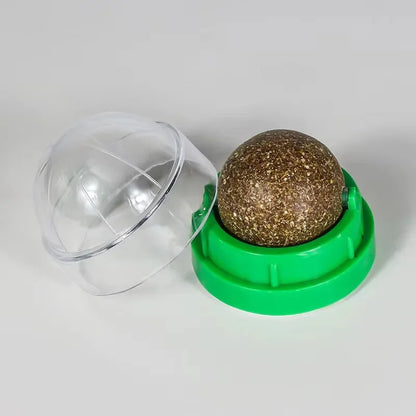 Catnip Wall Ball Toy for Cats – Natural Lick & Chew Treat