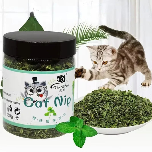 Catnip Cat Toy – Organic Natural Mint Leaves for Cats