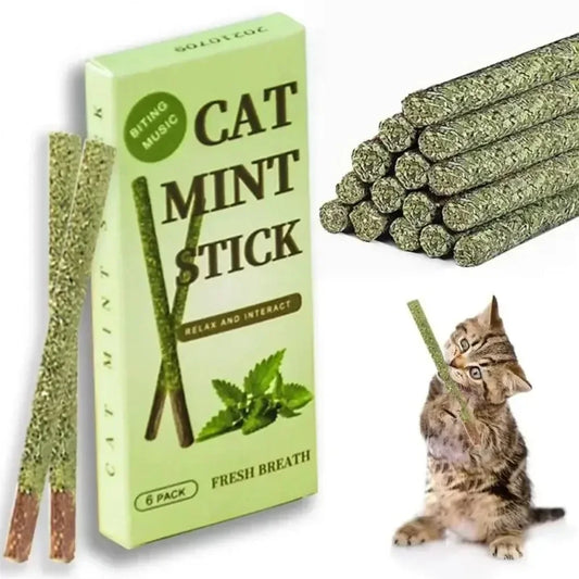 Silvervine Cat Mint Chew Sticks – 6 Pack